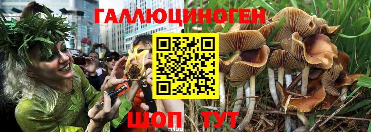Иваново  Галлюциногенные грибы мицелий  Вход с VPN 
